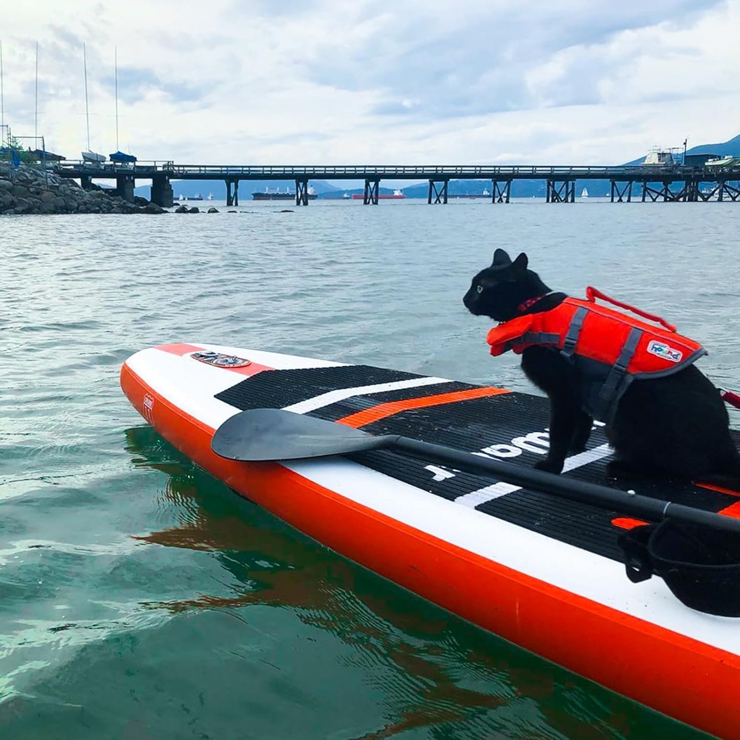 Inflatable Stand Up Paddle Board – Ultra-Light, 350 lb Capacity, Kayak-Compatible | Classic “Happiness” Series by FunWater